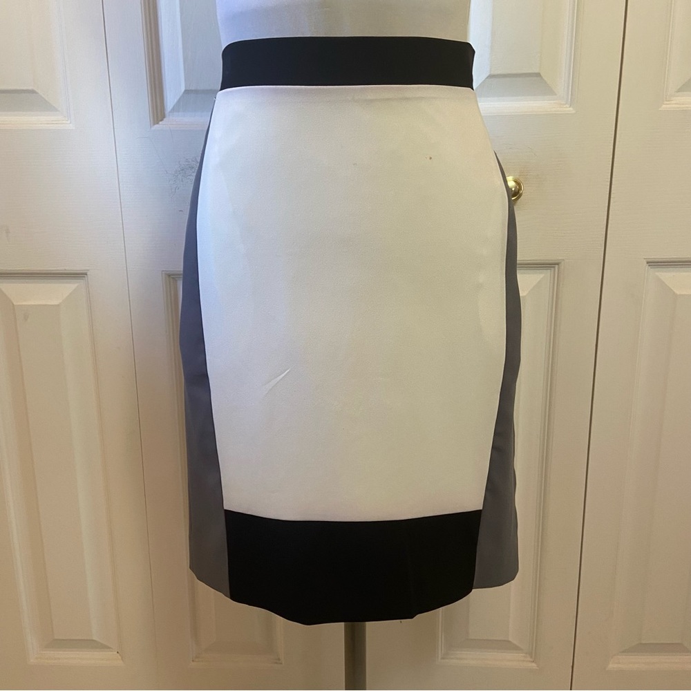 Narciso Rodriguez Color Block Skirt White Gray Black NWT sz 6